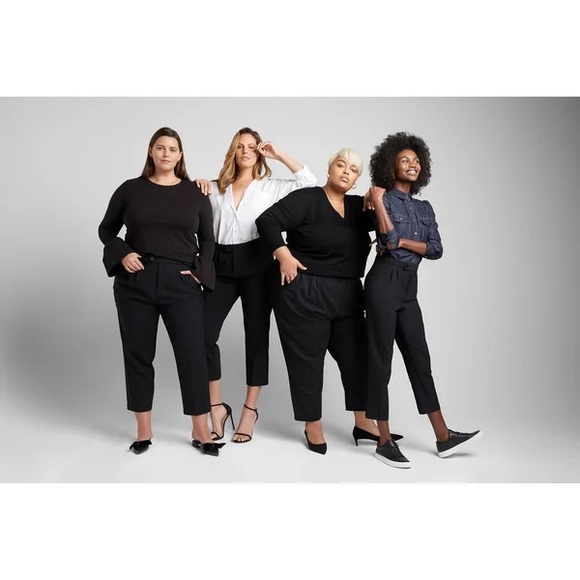 Universal Standard Wool Cropped Trousers High Waisted Pleated Front Pants 4XS 0 - Picture 12 of 16